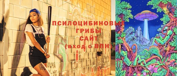 гашиш Богородицк