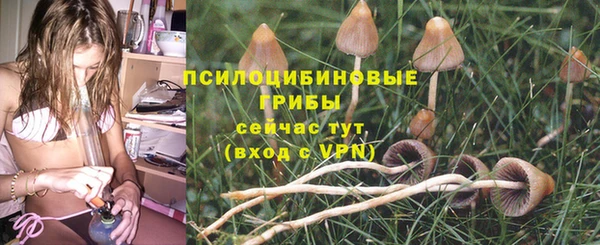 гашиш Богородицк