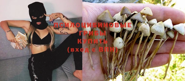 дурь Богданович