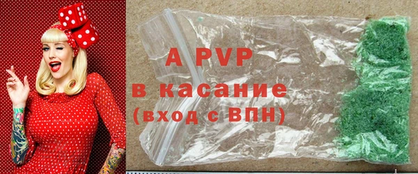 дурь Богданович